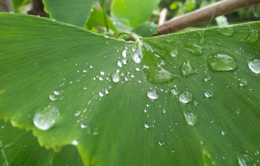 Unauth title YTypQCTU